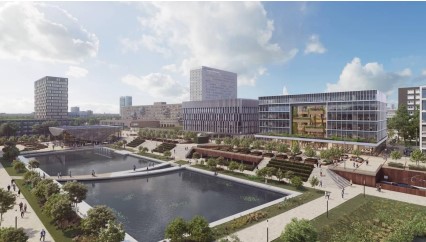 Hollanda 8 erasmus 2