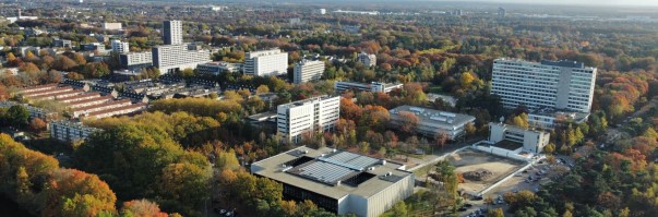 Hollanda 12 tilburg2